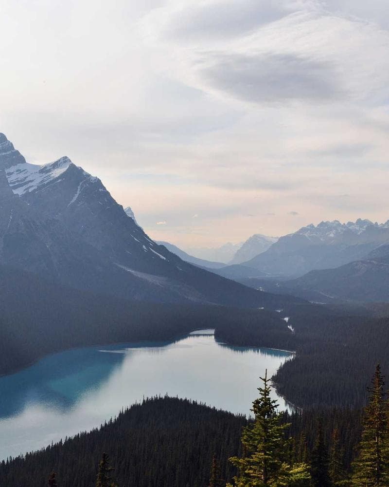High-Waist Leggings Navy front