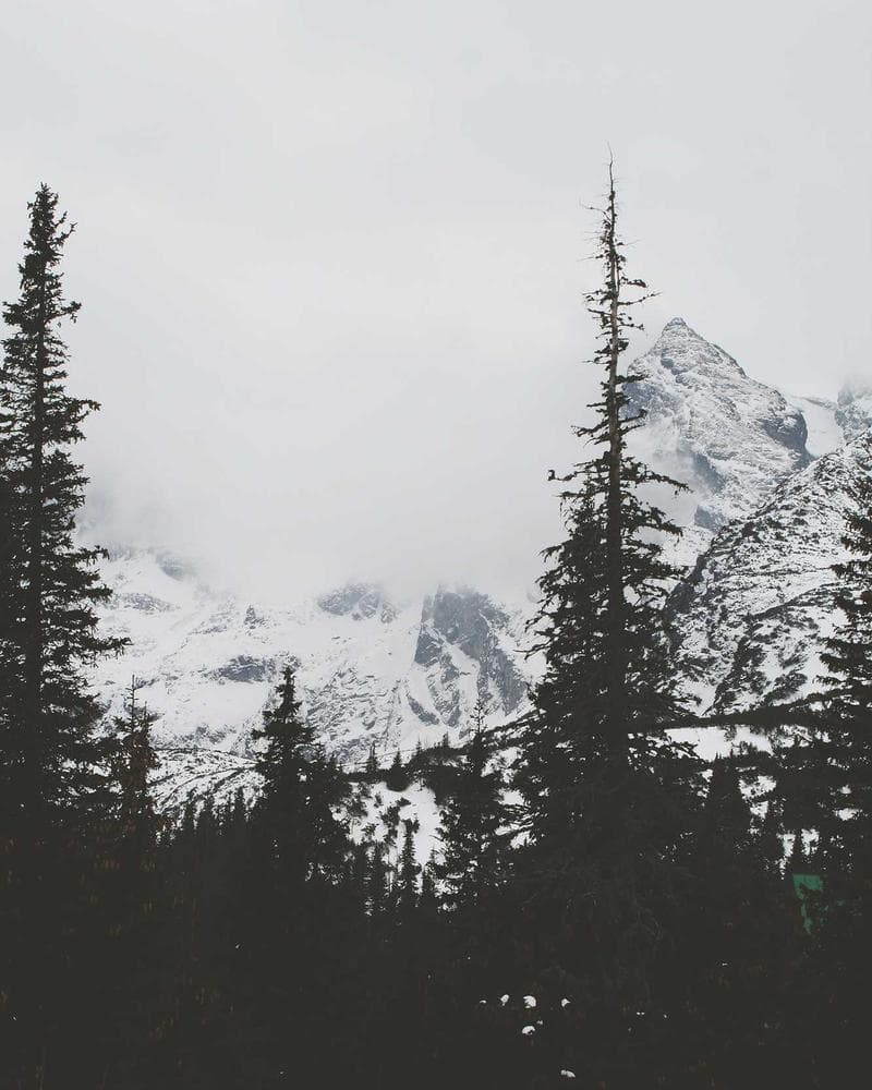Linen Blend Shirt White front