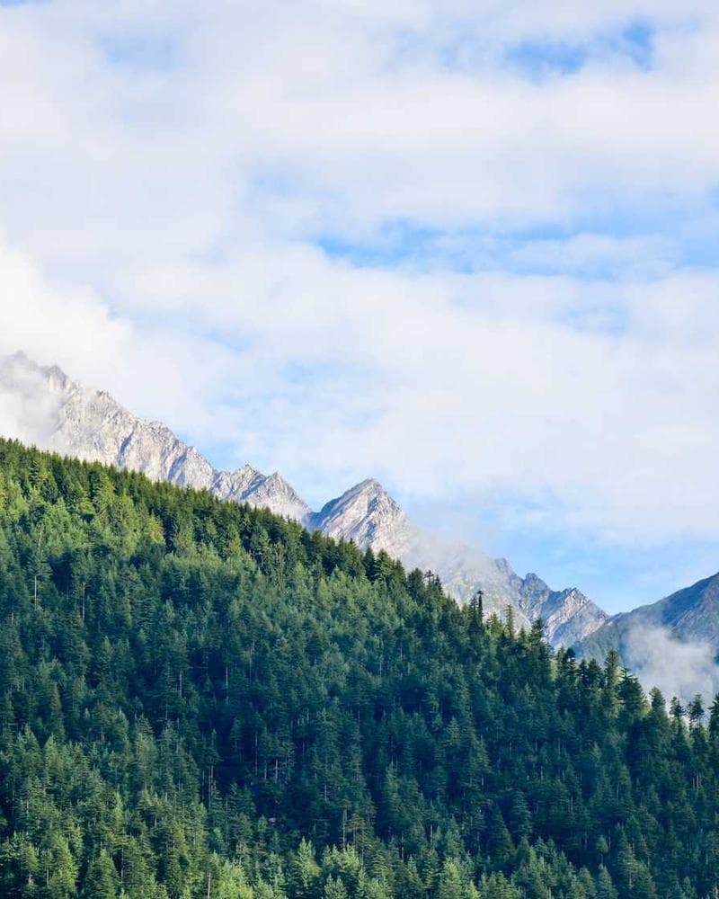 Oversized Blazer Camel front