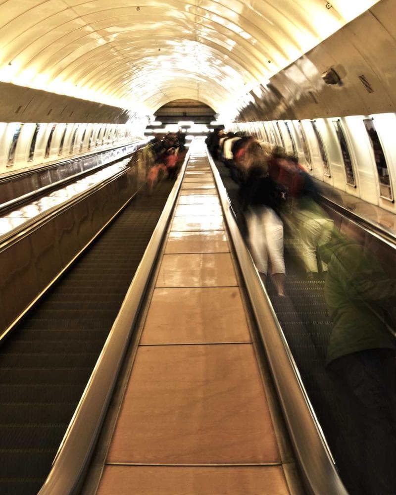 Relaxed Fit Shorts - view 1