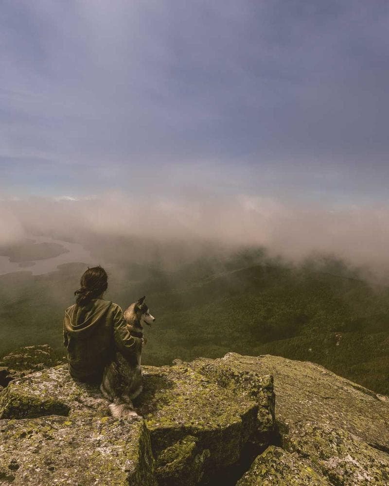 Relaxed Fit Shorts Stone front