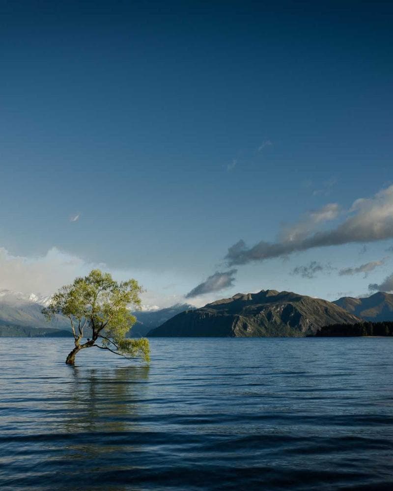 Ribbed Knit Midi Dress Oatmeal front
