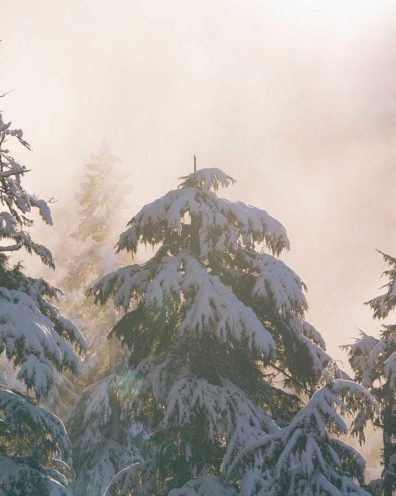 Wrap Blouse Black front